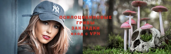 бутират Баксан