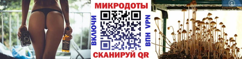 дарк нет какой сайт  Заволжье  Галлюциногенные грибы Magic Shrooms 